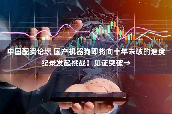 中国配资论坛 国产机器狗即将向十年未破的速度纪录发起挑战！见证突破→